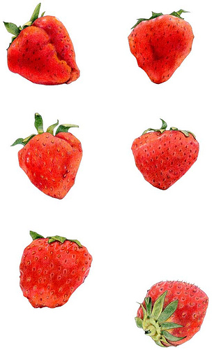 tumblr_m0zjig2DkW1qag0bqo1_400