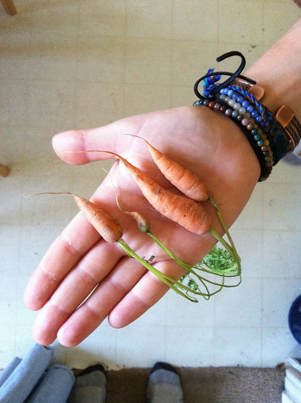 7164517965_79c4f02cee_c