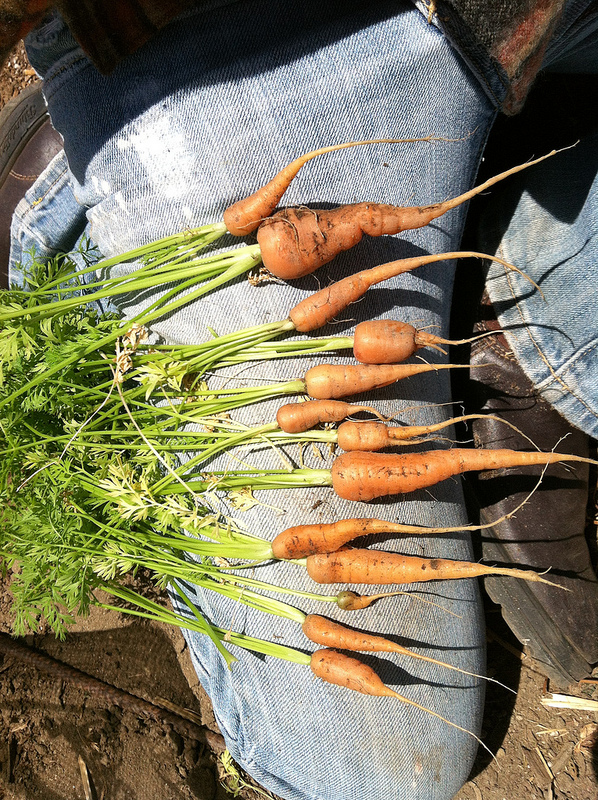 7164522277_e074db7a9f_c