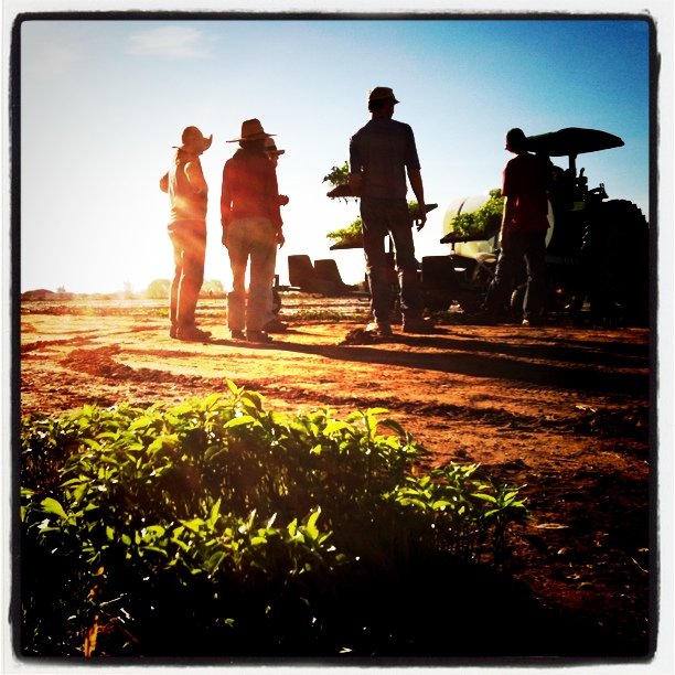 5593866455_a84aa16a9a_o