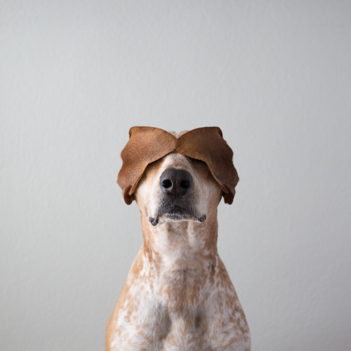 tumblr_mj71g7TsH71r9164to1_500