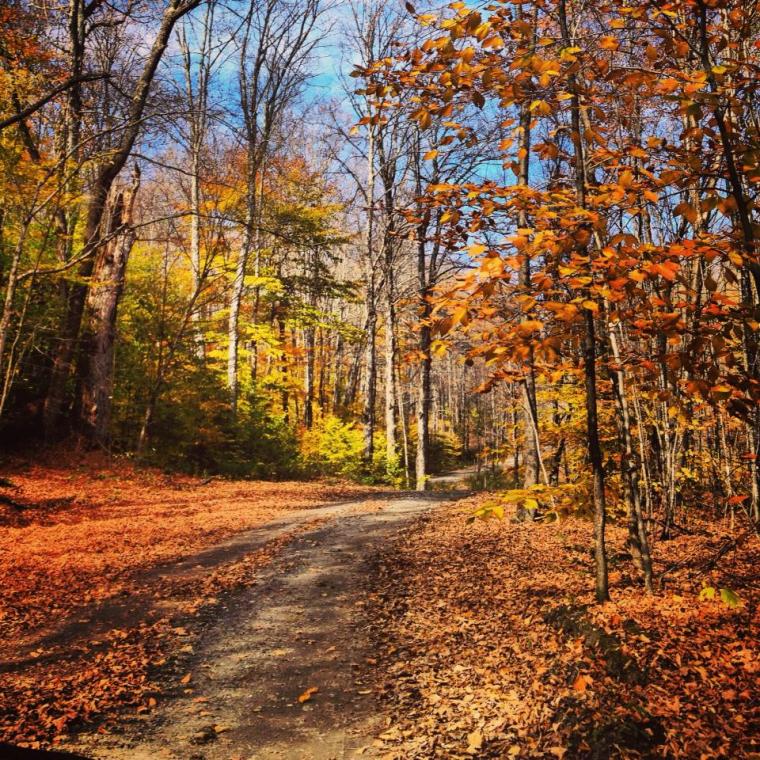 1378326_10201177487663586_471194059_n