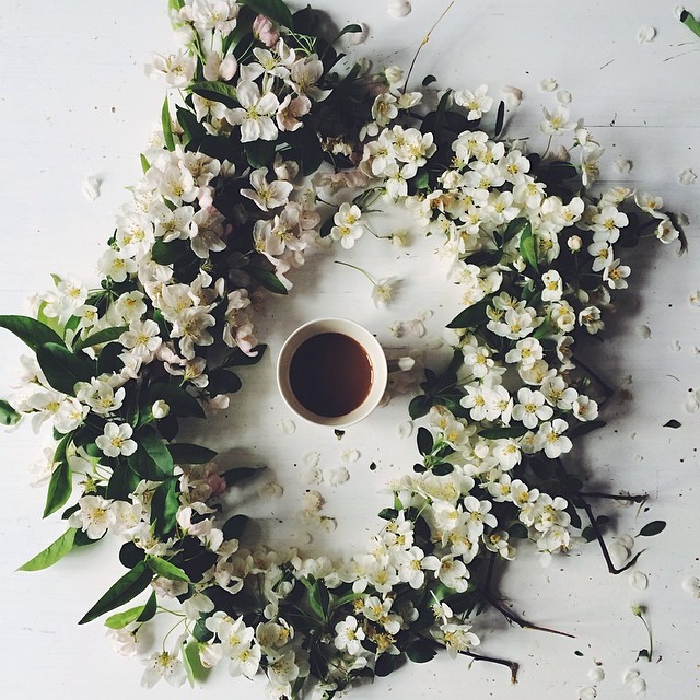 tumblr_n5fnig0hB01shcqiqo1_1280